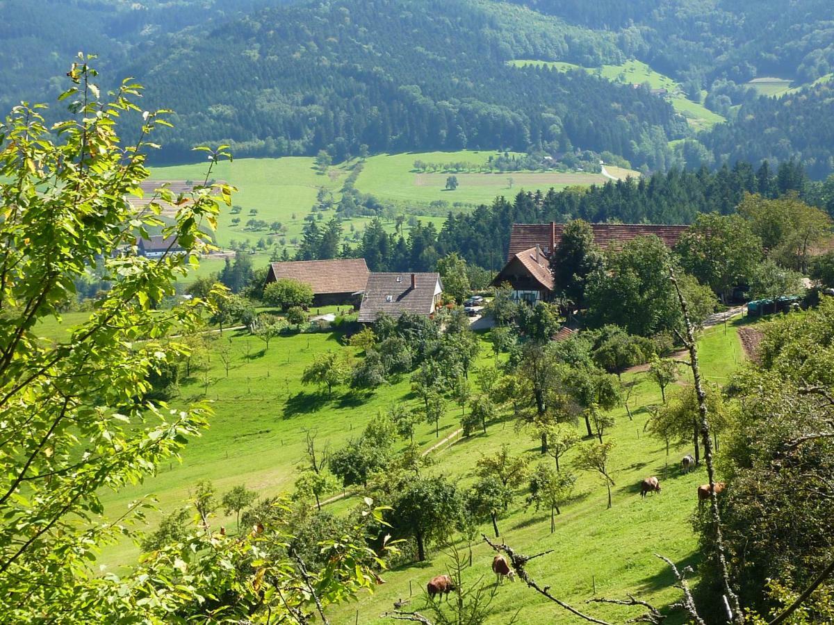 Ferienhaus Eck Vila Zell am Harmersbach Exterior foto